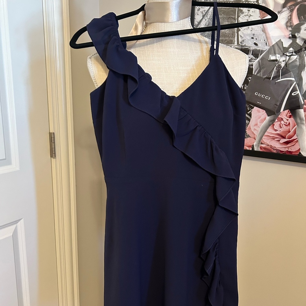 BB Dakota Navy Dress NWOT